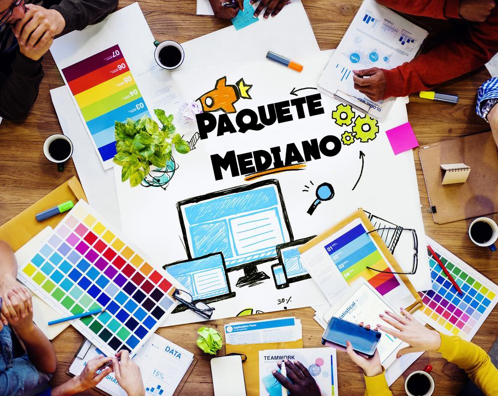 <span style="font-weight: bold;">Paquete Mediano de  Diseño</span> 